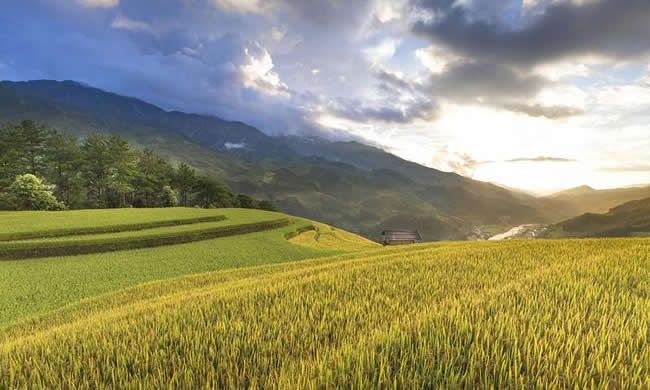 丘陵山區(qū)及林果智能裝備開發(fā)